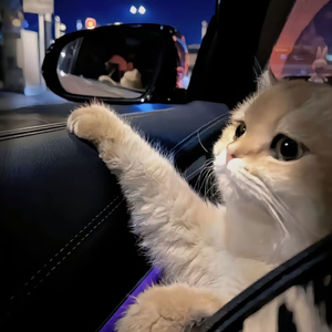 日本美女野站裸体射精
